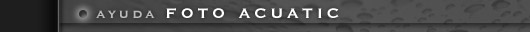 Ayuda Foto Acuatic