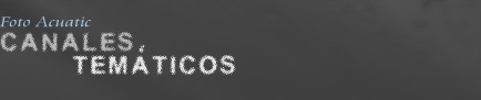 Foto Acuatic Canales Tem&aacute;ticos