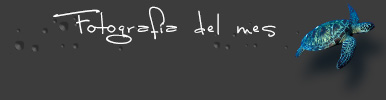 Fotografía del mes