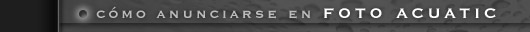 Como anunciarse en fotoacuatic.com