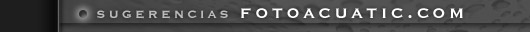 Sugerencias Fotoacuatic.com