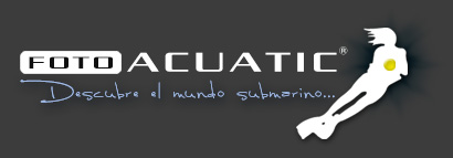 Foto Acuatic Descubre el mundo submarino fotoacautic.com