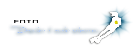Foto Acuatic Descubre el mundo submarino fotoacautic.com