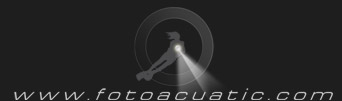 fotoacuatic.com