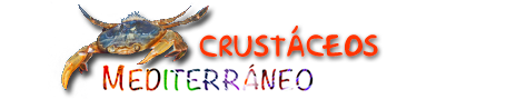 Galeria Crustáceos