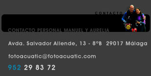 contacto personal manuel campillo y aurelia artolachipi