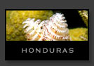 Honduras mares del mundo
