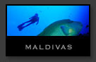 Maldivas mares del mundo