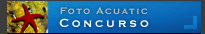 Concurso fotografia submarina Fotoacuatic.com