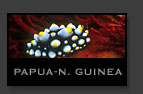 Papua mares del mundo